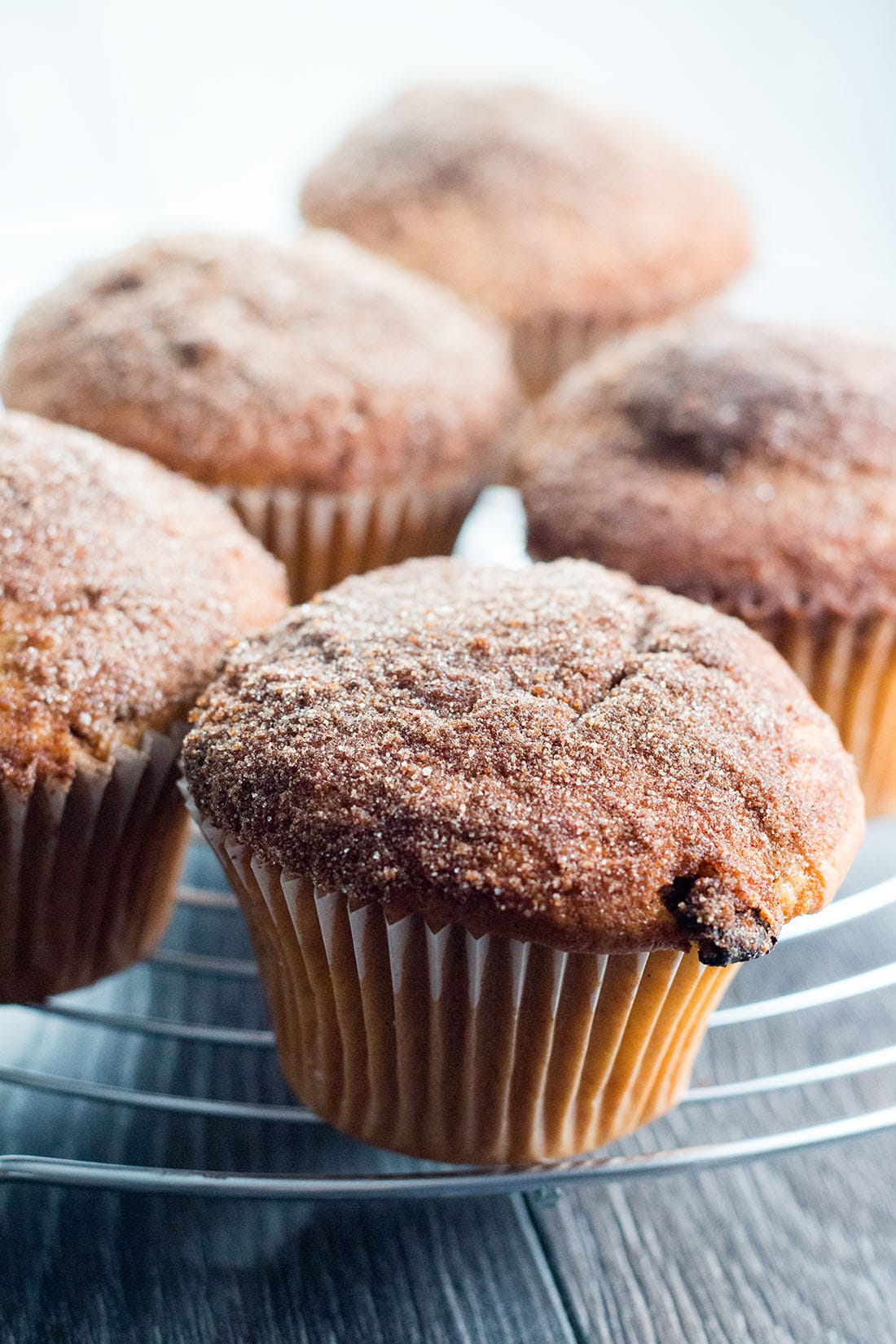 Cinnamon Raisin Muffins - the perfect cross between a doughnut & a muffin!