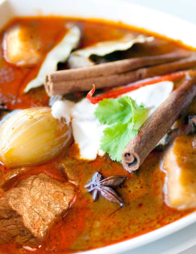 Massaman Curry staged with yogurt and cinnamon sticks