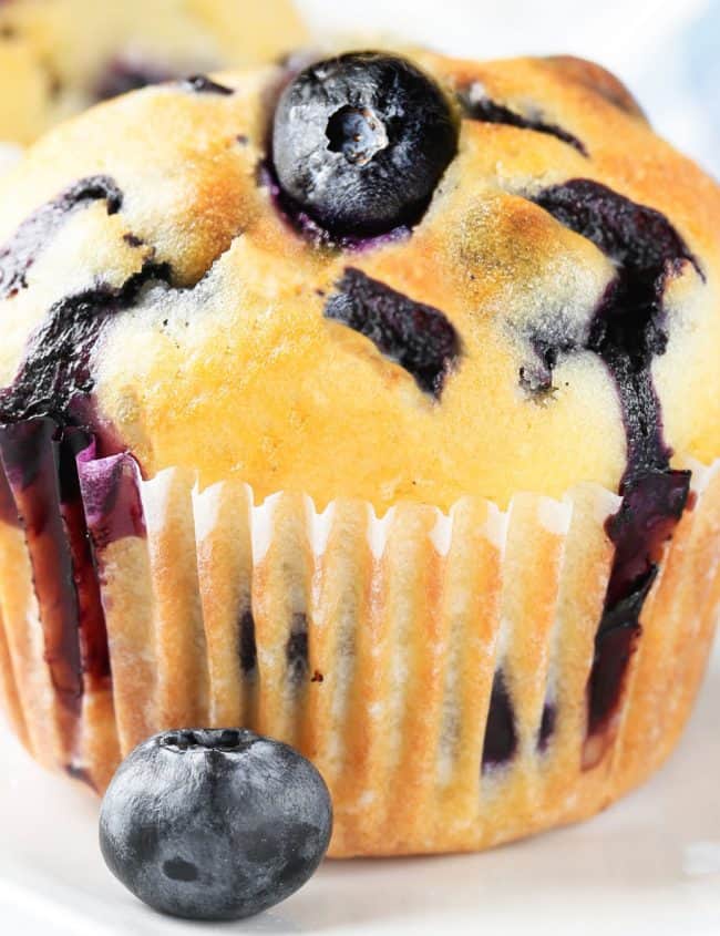 a blueberry muffin topped with a fresh blueberry with more muffins in the background