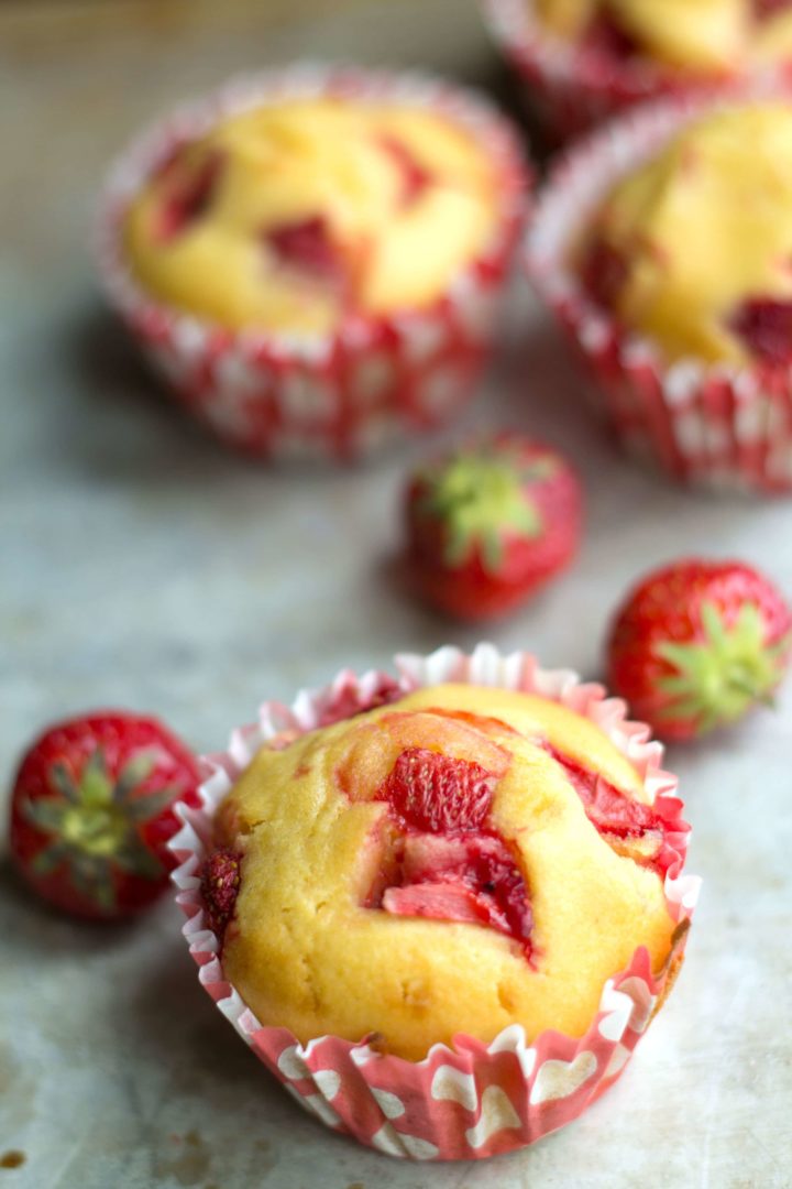 Honey Cornbread & Muffin