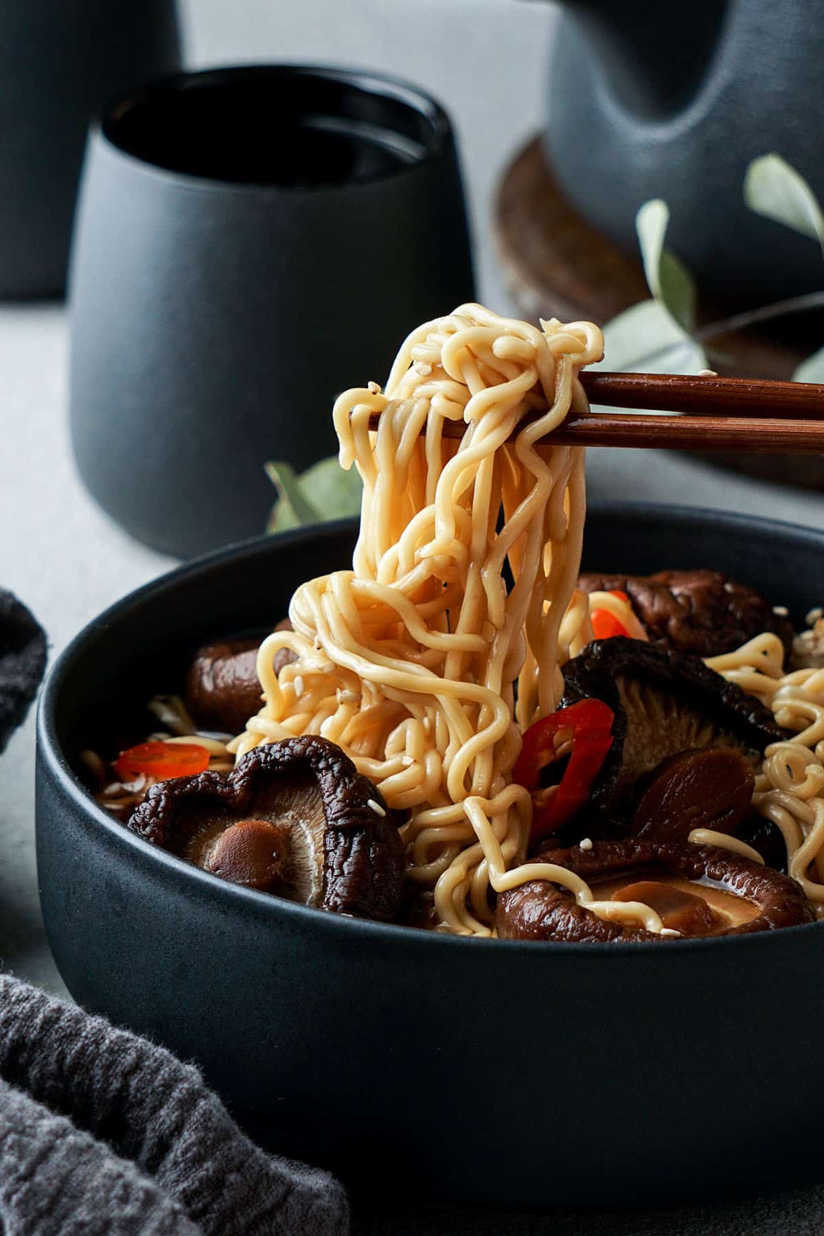 Thermos Noodle Soup Recipe 