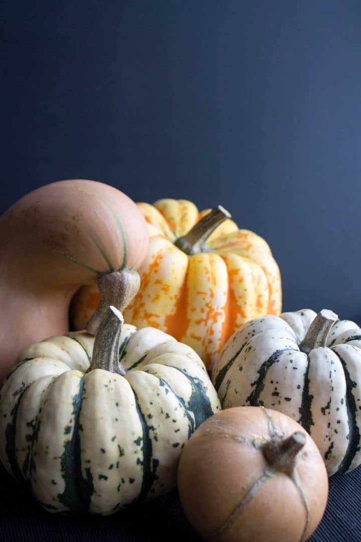 A variety of winter squash in different shapes and sizes