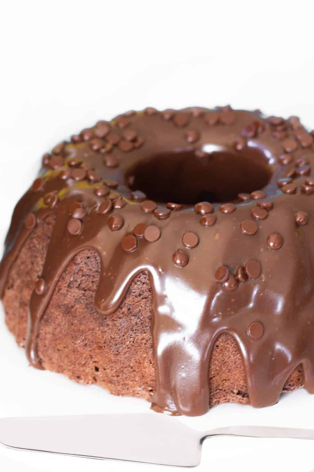 Double Chocolate Bundt Cake - Erren's Kitchen