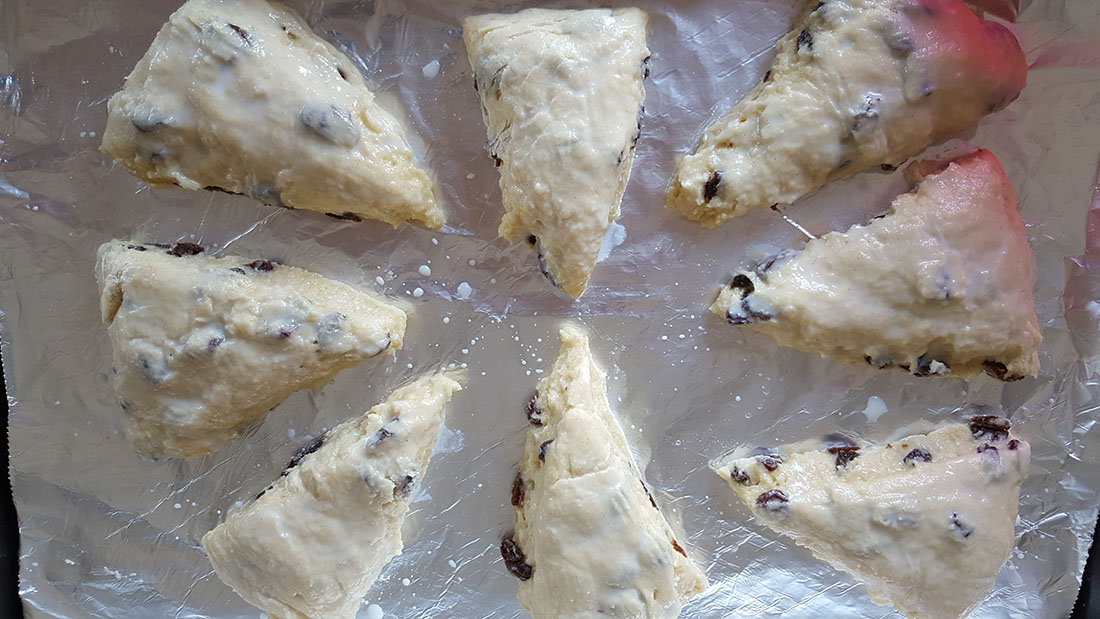 Raisin Scone batter cut into triangles