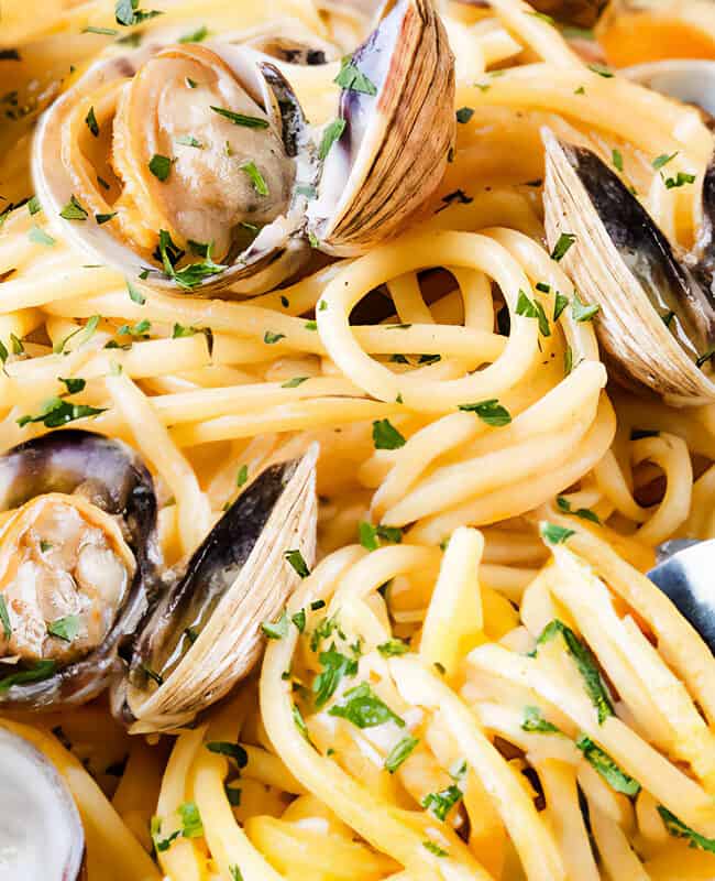 a plate of spaghetti with white clam sauce with clams in the shell and a fork twirling spaghetti