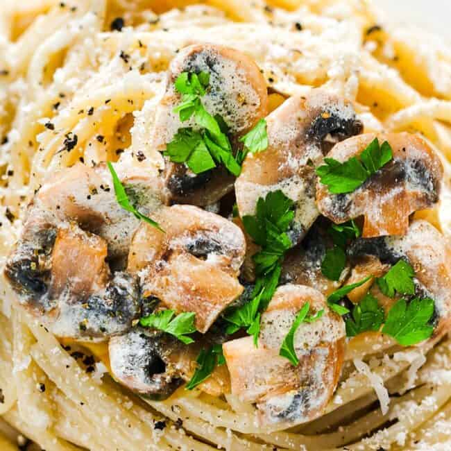 Creamy Mushroom Spaghetti Erren S Kitchen