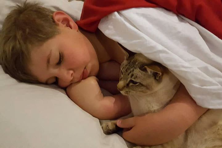 a little boy sleeping with a cat