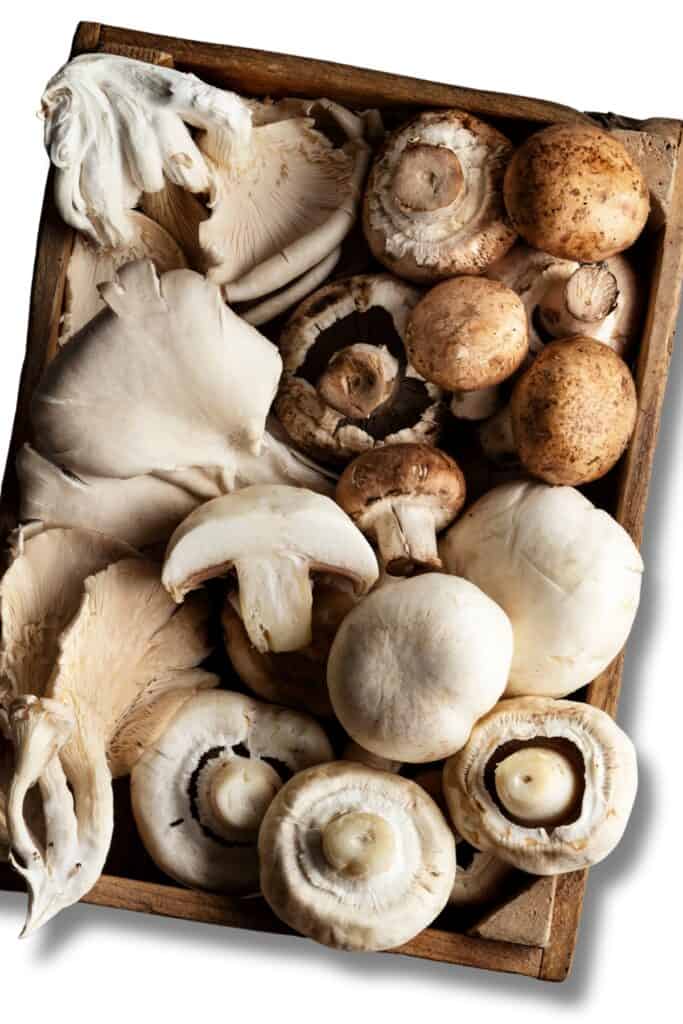 a rustic brown box filled with a variety of mushroom types.