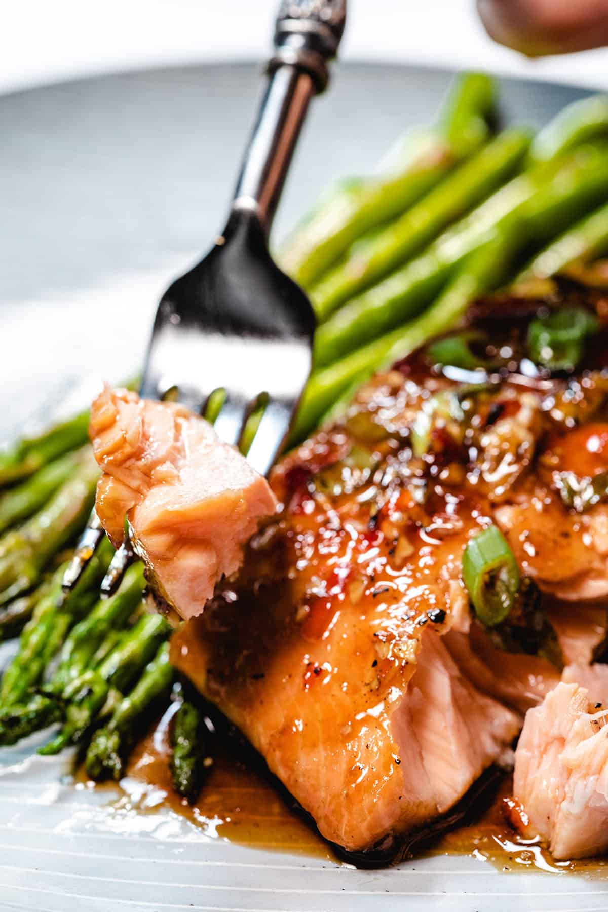 Glazed Salmon  America's Test Kitchen Recipe