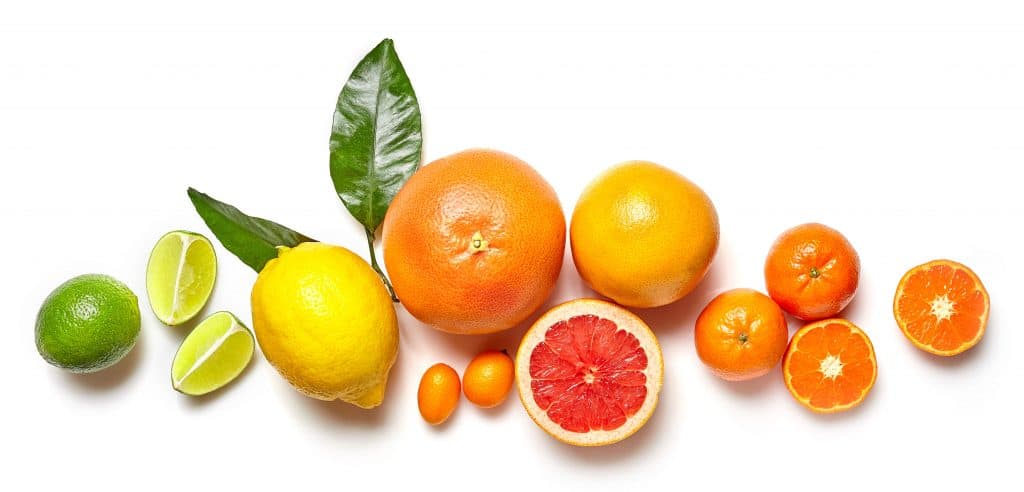 composition of various citrus fruits isolated on white background, top view