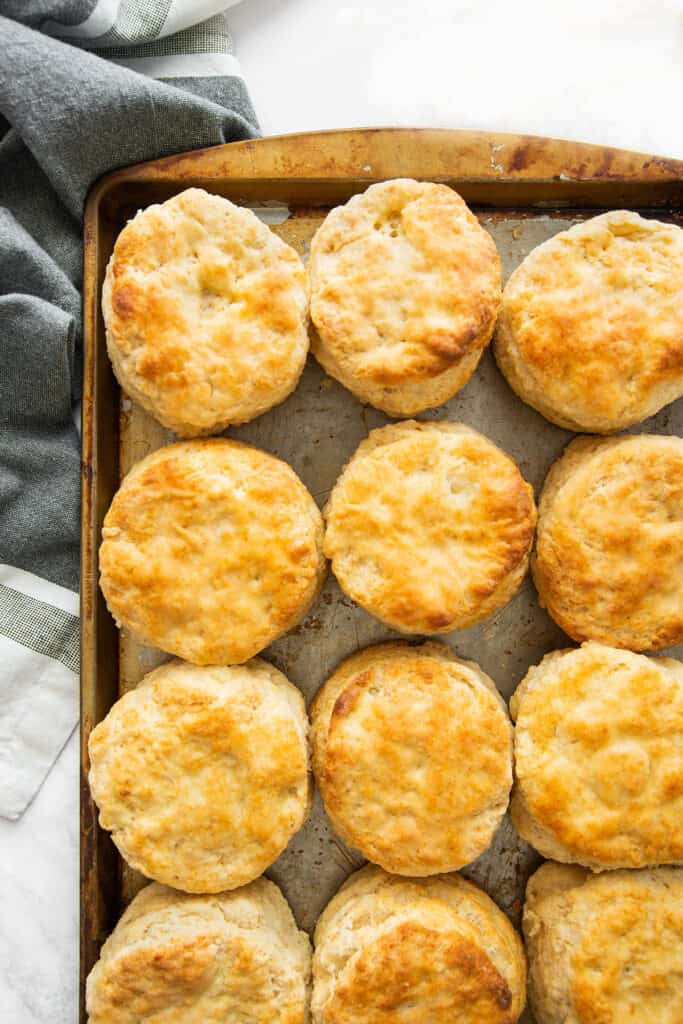 Overhead of 1ne dozen homemade buttermilk biscuits on rustic cookie sheet with denim napin