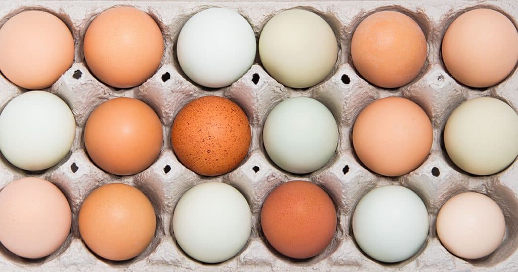 Assortment of different color, fresh, chicken eggs in a gray tray