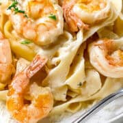 A close-up of a plate of Shrimp Alfredo Pasta. The pasta appears to be coated in a creamy white sauce, and the shrimp are large and pink, garnished with a sprinkle of herbs. A fork rests on the plate's rim.