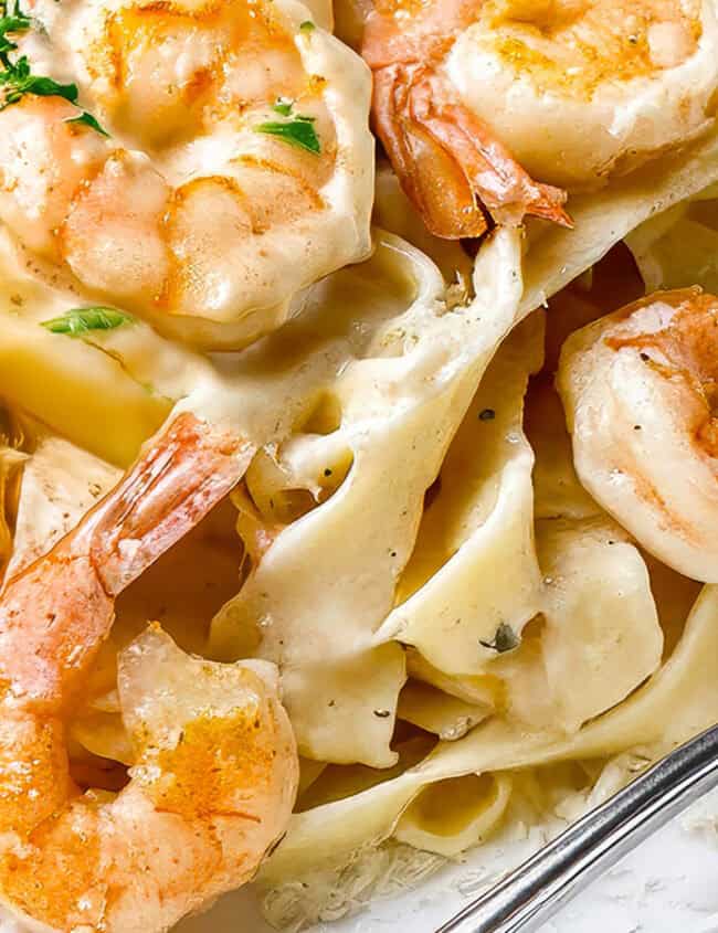 A close-up of a plate of Shrimp Alfredo Pasta. The pasta appears to be coated in a creamy white sauce, and the shrimp are large and pink, garnished with a sprinkle of herbs. A fork rests on the plate's rim.