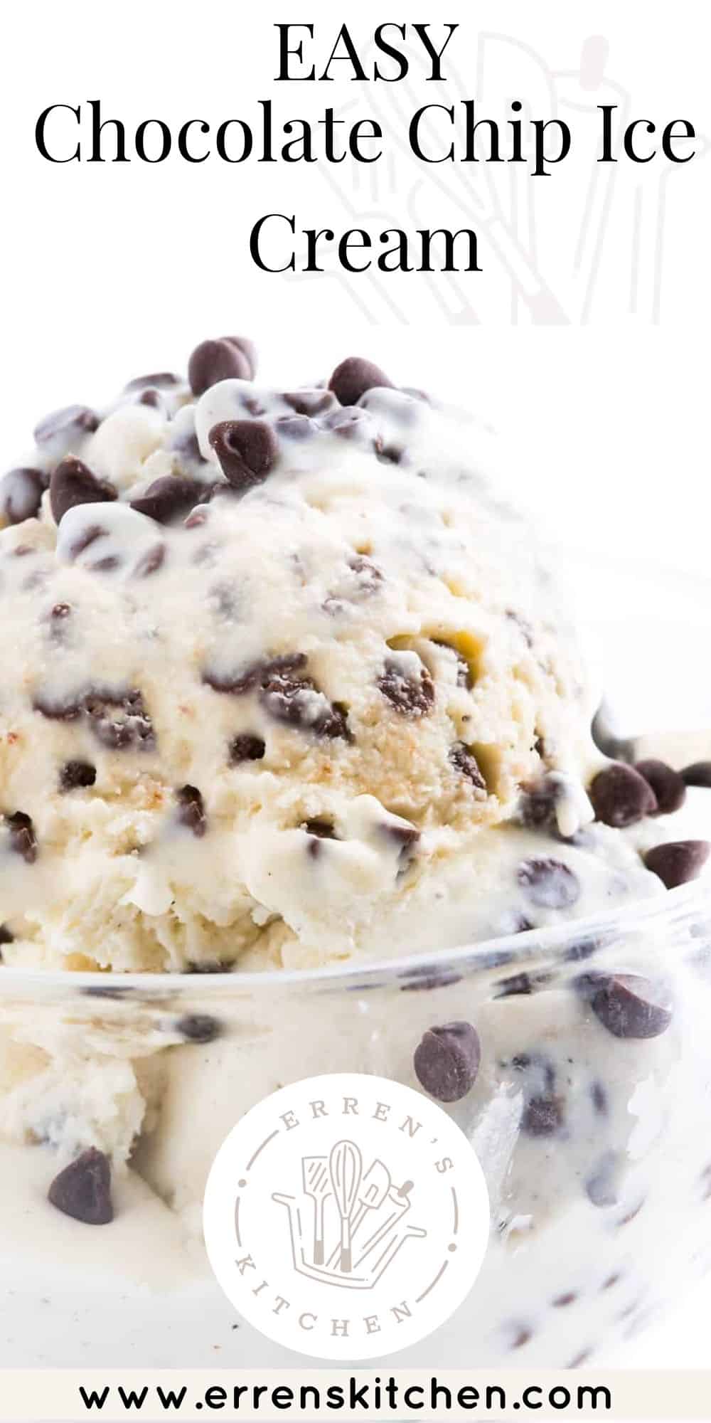 Chocolate Chip Ice Cream - Erren's Kitchen