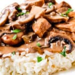 A close up image of Chicken Stroganoff on a white plate with a white background.