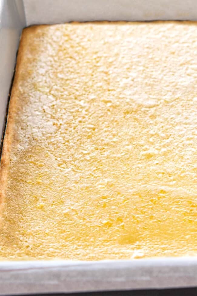 Best Lemon Squares Recipe - Erren's Kitchen