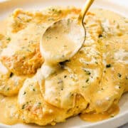 A plate of mustard chicken is being served with a spoon, featuring creamy, herb-infused goodness. The chicken is smothered in a rich, yellow mustard sauce with visible herbs, giving it an appetizing appearance.