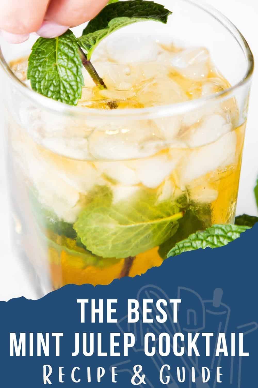 Mint Julep Cocktail - Erren's Kitchen