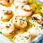 a glass dish with broiled scallops with garlic butter