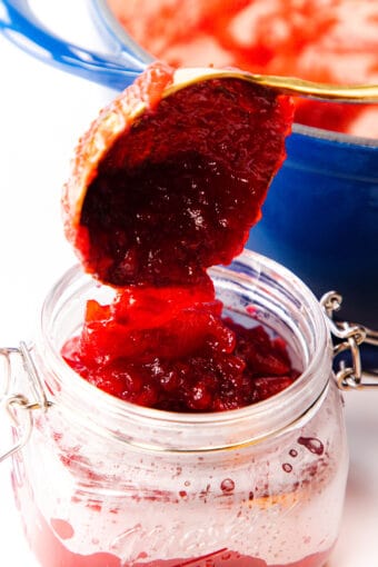 Homemade Fresh Cranberry Sauce - Erren's Kitchen