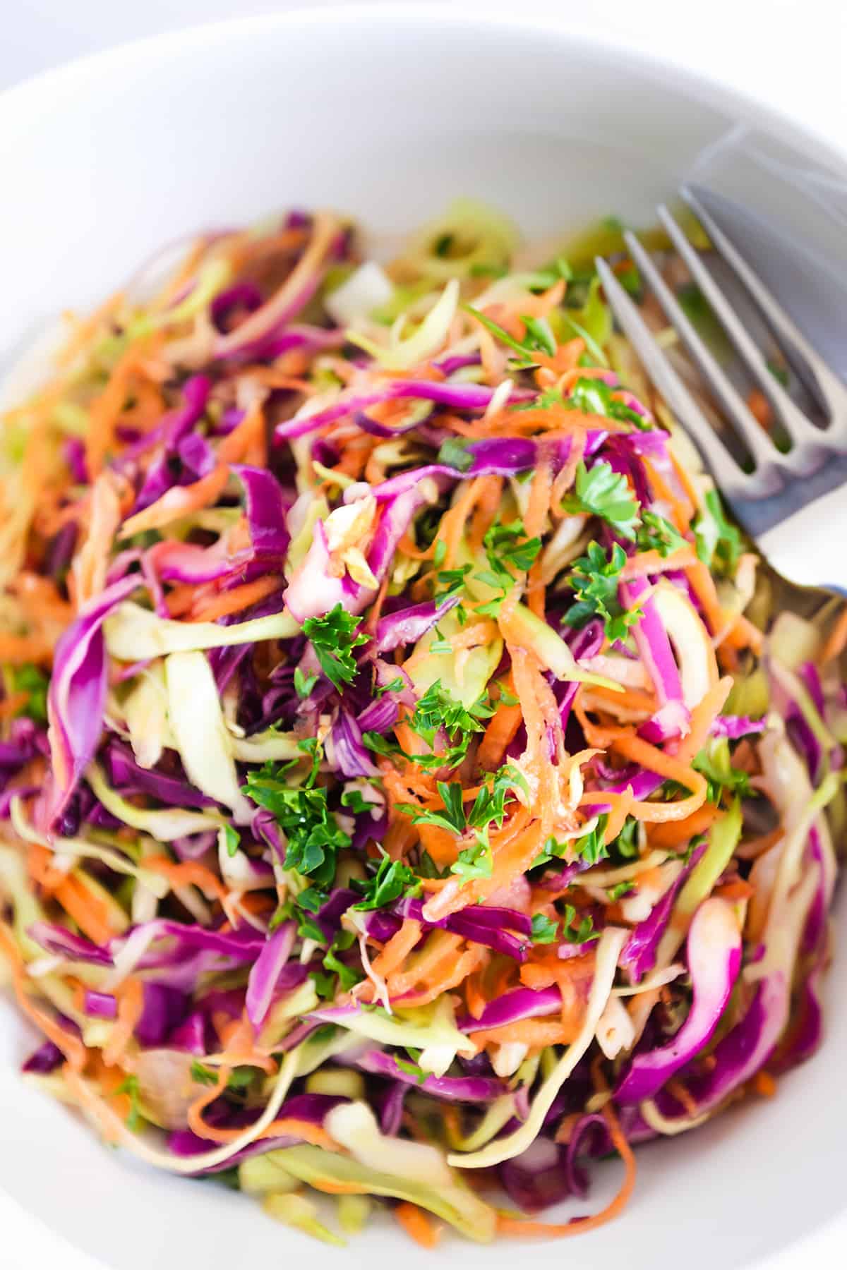 https://www.errenskitchen.com/wp-content/uploads/2023/07/vinegar-coleslaw-1-9b.jpg