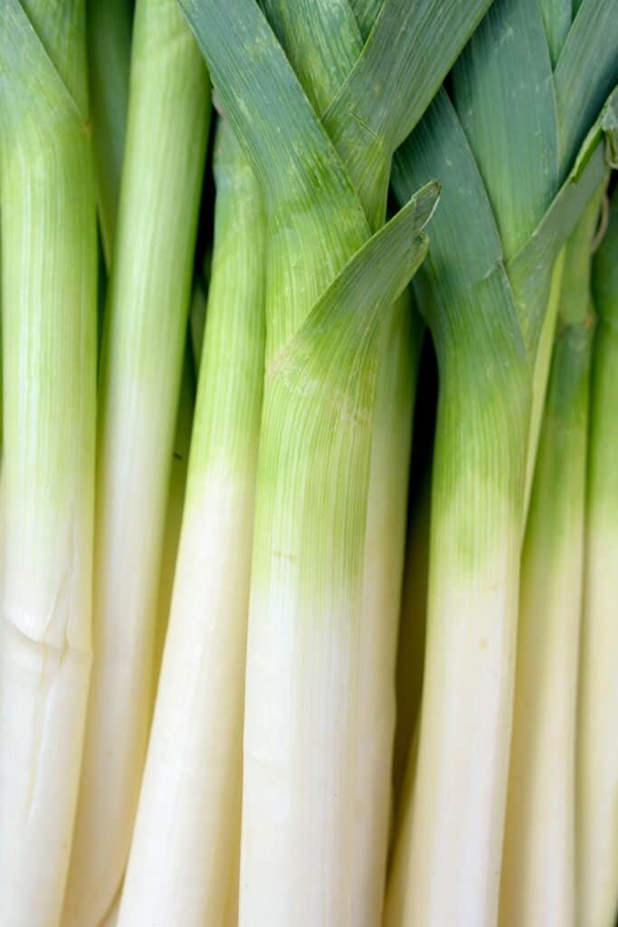 a pie of long leeks with a lot of white and shorter green top.