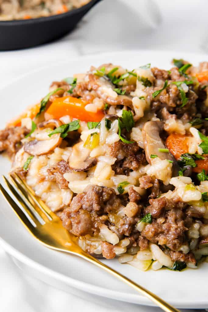 Ground beef and rice dish with carrots and parsley on a plate with a gold fork.