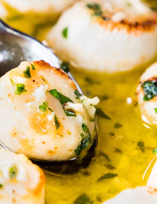 broiled scallops in a garlic butter sauce being served with a spoon.