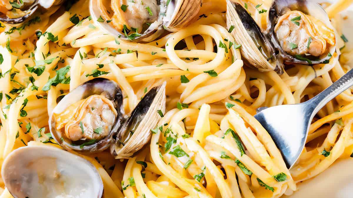 a plate of spaghetti with white clam sauce with clams in the shell and a fork twirling spaghetti