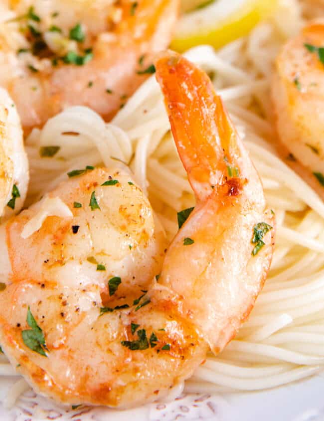 A plate full of shrimp scampi and spaghetti sprinkled with fresh chopped parsley.