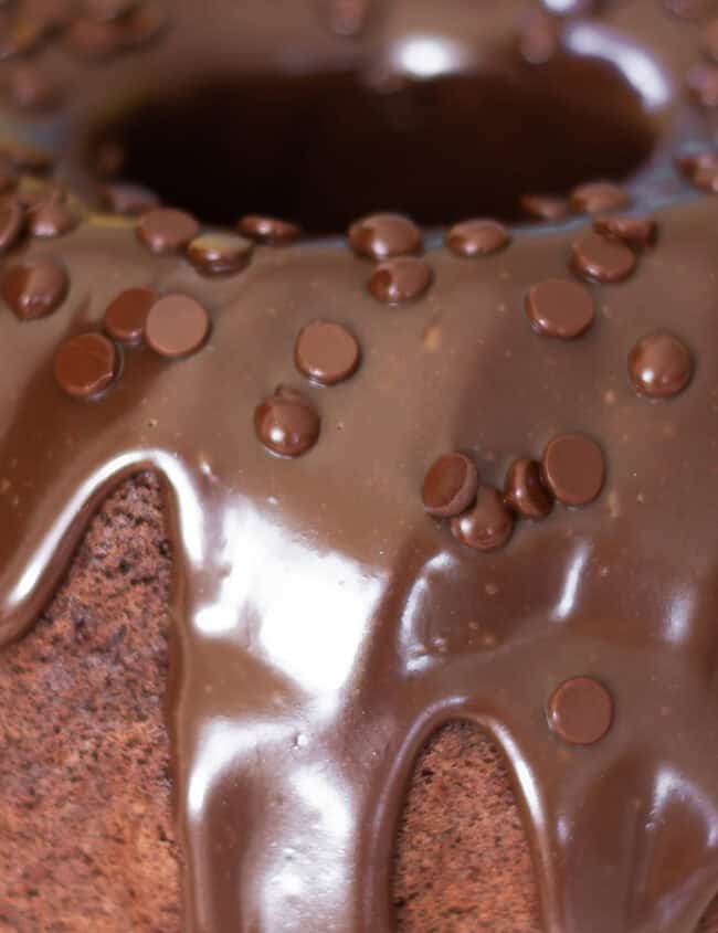 A Chocolate Bundt Cake with a cake topped with chocolate chips.