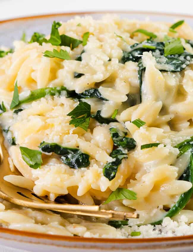 Parmesan Lemon Orzo Pasta in a bowl with a serving spoon.