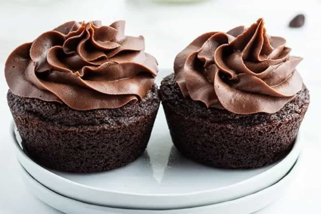 Two chocolate cupcakes topped with chocolate swirls of frosting.