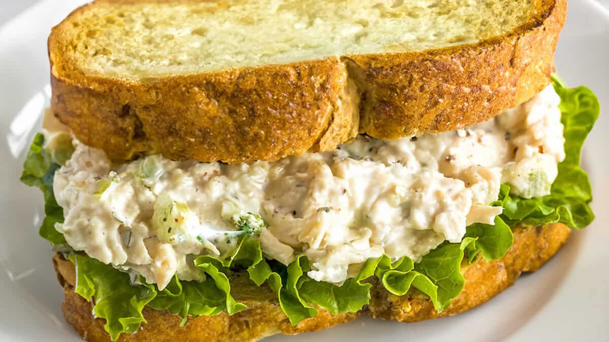 A close up of tuna salad sandwich with lettuce.