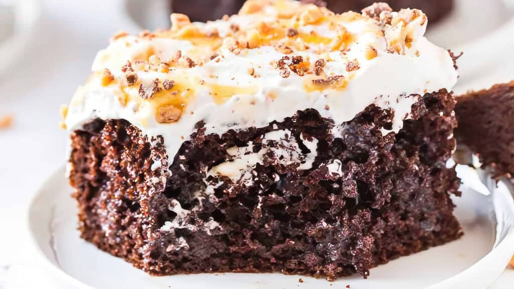 Close-up of a slice of chocolate cake with a moist, rich texture, topped with smooth whipped cream.