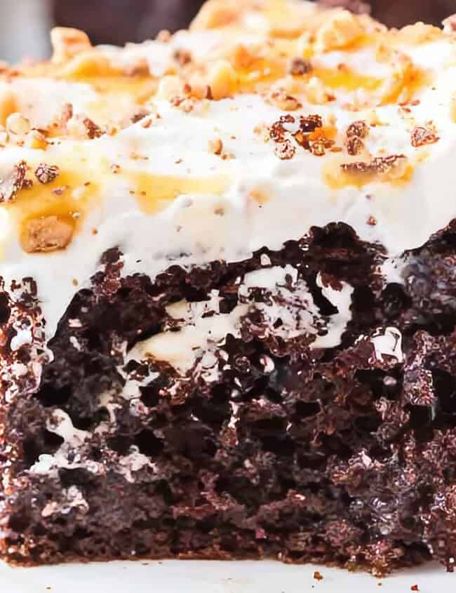 Close-up of a slice of chocolate cake with a moist, rich texture, topped with smooth whipped cream.