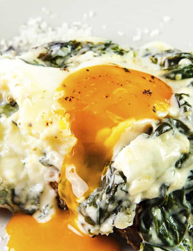 A close-up of a poached egg with a runny yolk on top of sautéed spinach and creamy sauce, served on a slice of crusty bread. The dish, reminiscent of gourmet pancake recipes, is on a white plate with a sprinkling of grated cheese around the edges.