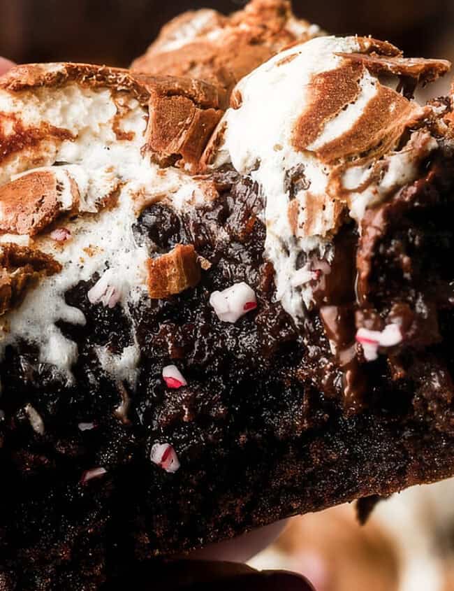 A close-up of a hand holding a gooey brownie topped with melted marshmallow and crushed peppermint pieces. Perfect for chocoholics, this brownie boasts a rich, moist texture with visible chocolate chunks. The slightly toasted marshmallow adds a crispy, golden-brown touch that goes beyond basic.