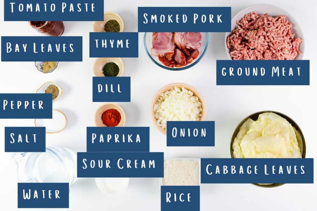 Top-down view of ingredients for Romanian Cabbage Rolls (Sarmale) arranged on a white surface: tomato paste, bay leaves, pepper, salt, water, thyme, dill, paprika, sour cream, smoked pork, ground meat, onion, cabbage leaves and rice. Each is labeled with a blue tag.