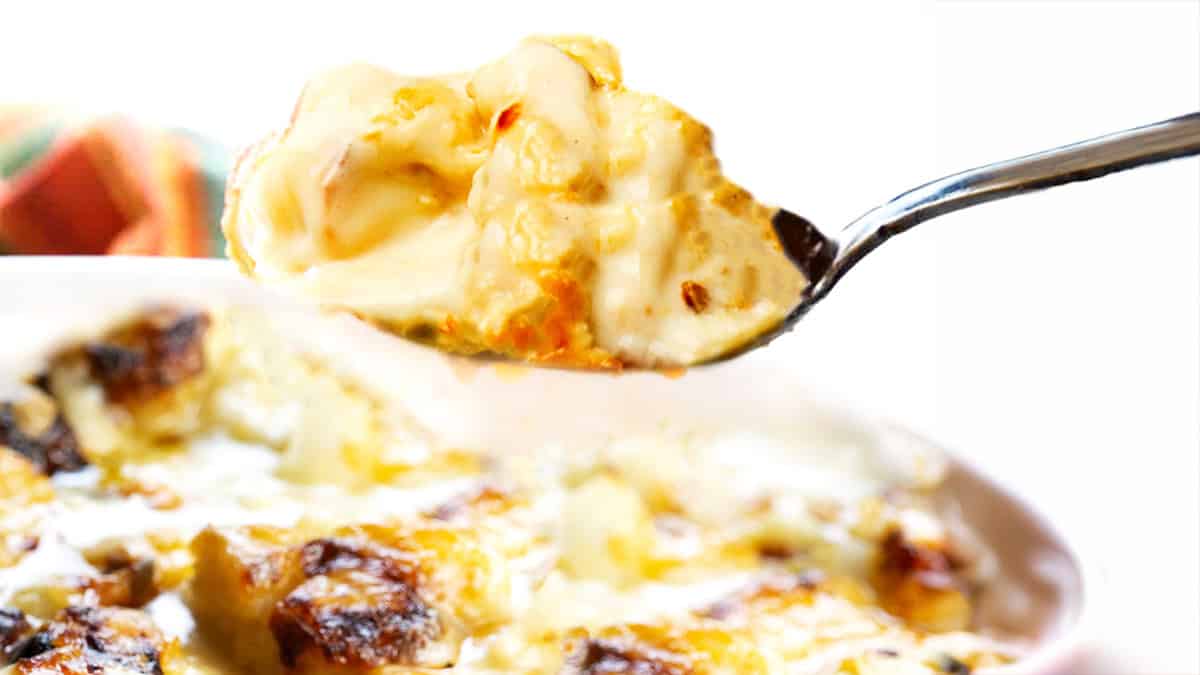 A close-up of a spoonful of Cheesy Cauliflower Bake creamy  being held above a baking dish filled with the same dish. 