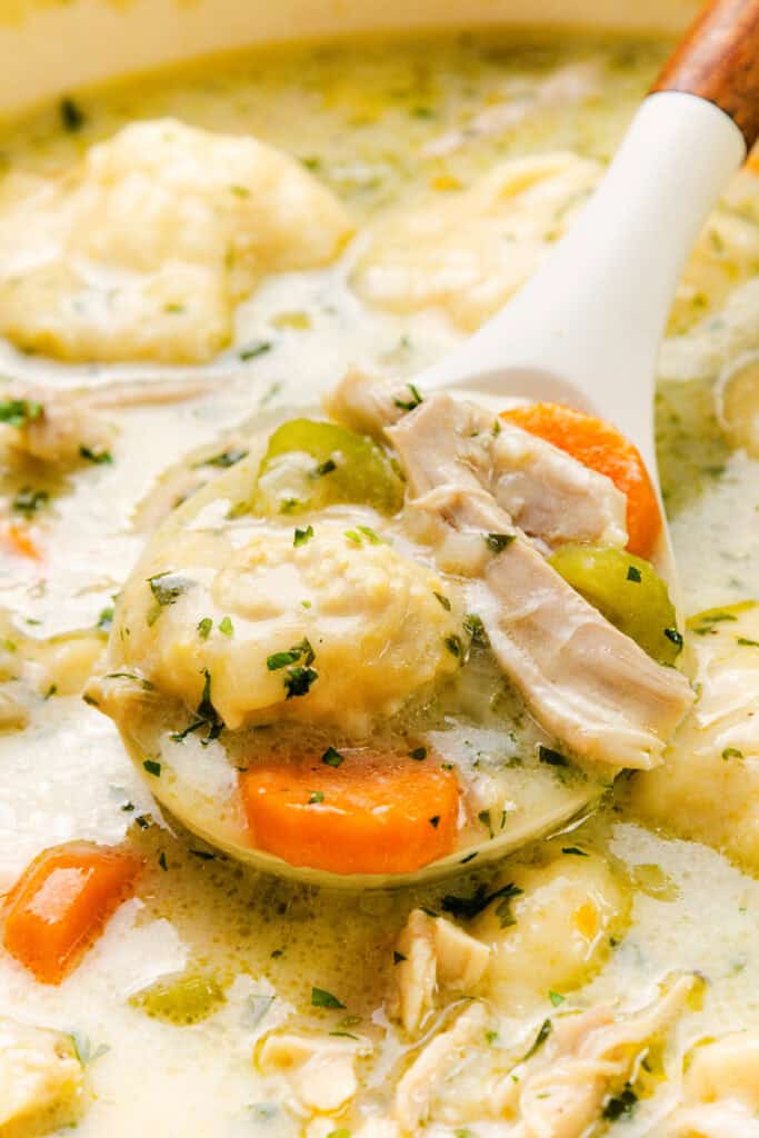 A close-up of creamy chicken and dumplings in a ladle reveals a delightful soup. The dish features tender chunks of chicken, carrots, and fluffy dumplings, garnished with herbs in a thick, savory broth. The background hints at more of the sumptuous stew waiting to be savored.