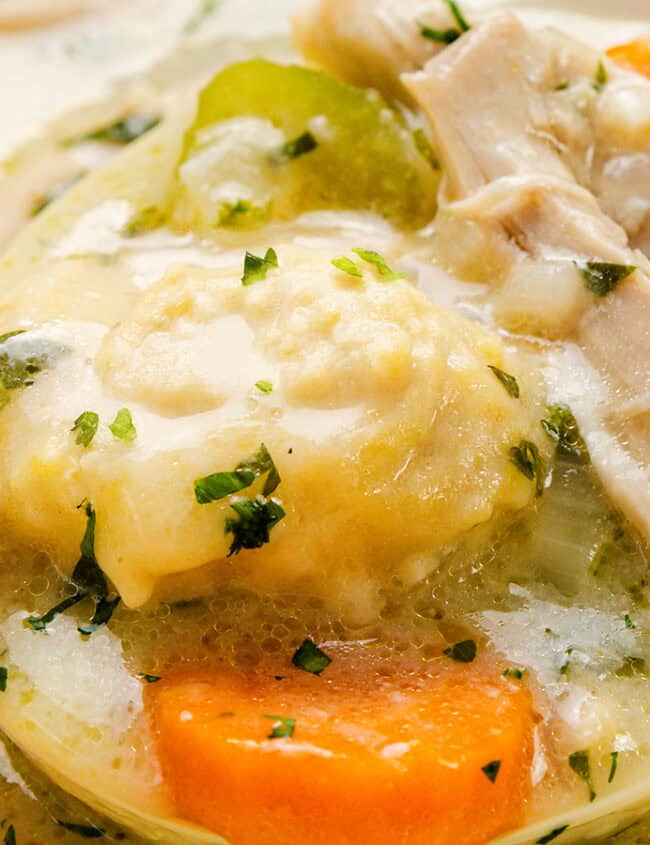 A creamy Southern recipe featuring artichoke hearts, carrots, celery, and strips of chicken. The ingredients are garnished with fresh herbs and immersed in a thick sauce.