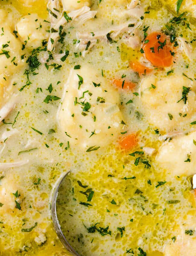 A close-up of Chicken Dumpling Soup in a pot showcases chunks of chicken, dumplings, sliced carrots, and chopped parsley in a creamy broth. A ladle and spoon are artfully placed inside the pot.