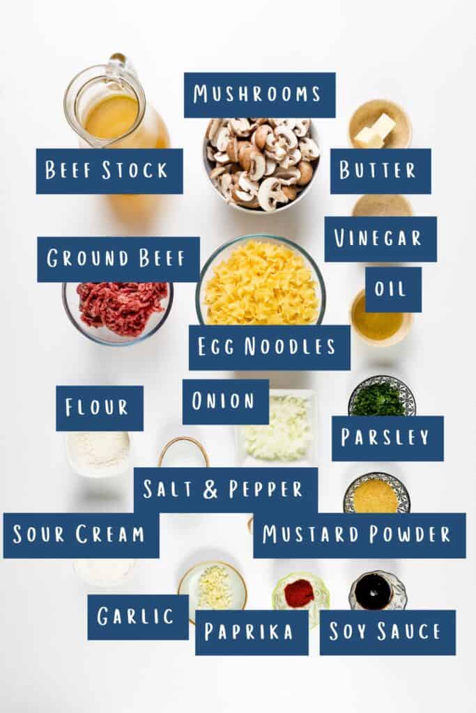 Top-down view of various ingredients labeled for a Hamburger Stroganoff recipe: beef stock, mushrooms, butter, vinegar, oil, ground beef, egg noodles, flour, onion, parsley, salt & pepper, mustard powder, sour cream, garlic, paprika, and soy sauce. A perfect one-pot meal.