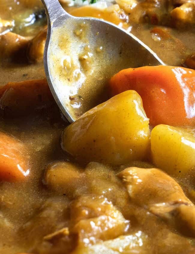 A close-up of a spoon in a hearty curry, featuring chunks of carrots, potatoes, and meat in a thick, brown gravy.