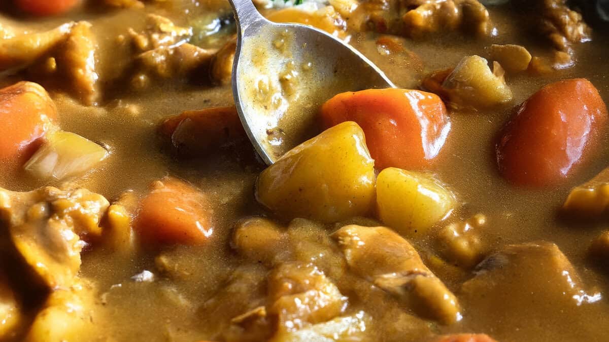 A close-up of a spoon in a hearty curry, featuring chunks of carrots, potatoes, and meat in a thick, brown gravy. 