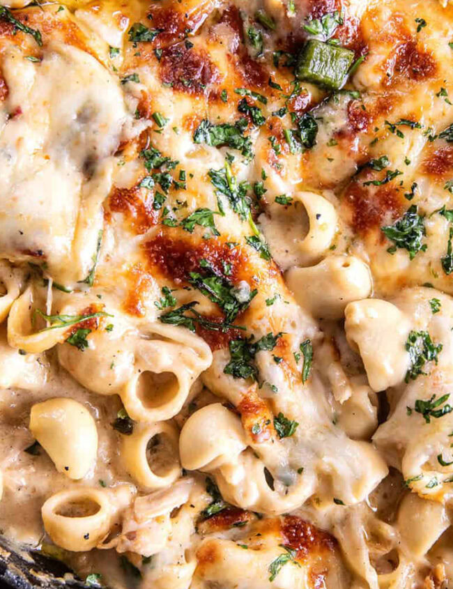 A skillet filled with creamy, cheesy pasta, a perfect example of one pot recipes, is topped with melted cheese and fresh herbs. The shell-shaped pasta boasts a golden-brown crust and hints of green from chopped herbs. Two forks sit beside the skillet, inviting you to indulge.