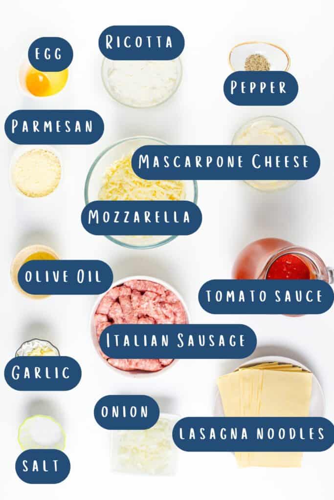 A top-down view of classic Italian lasagna ingredients labeled: egg, ricotta, parmesan, pepper, mascarpone cheese, mozzarella, olive oil, rich tomato sauce, flavorful Italian sausage, garlic, onion, salt, and lasagna noodles.