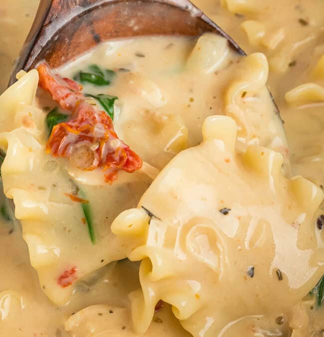 Close-up of a creamy pasta dish featuring wavy noodles, sun-dried tomatoes, and spinach in a thick, lightly seasoned sauce. A wooden spoon scoops up some pasta, highlighting the dish's rich texture and ingredients.